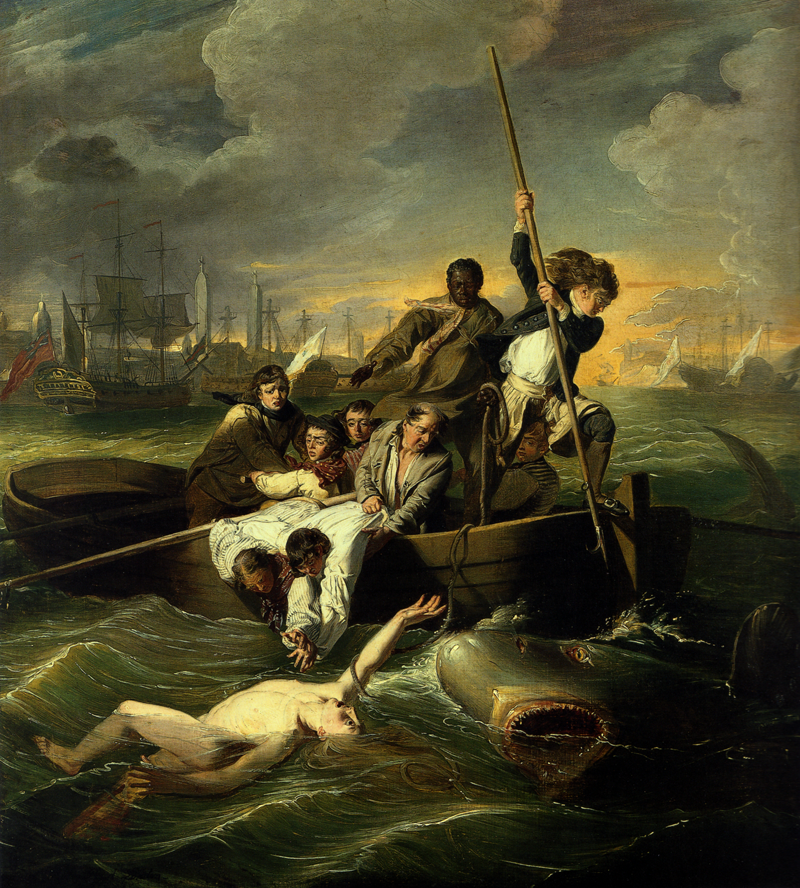 John Singleton Copley, Watson and the Shark, 1778, oil on canvas, 